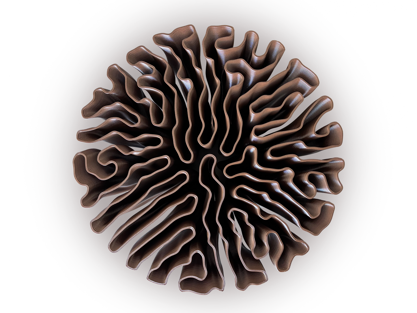 Anemone Table