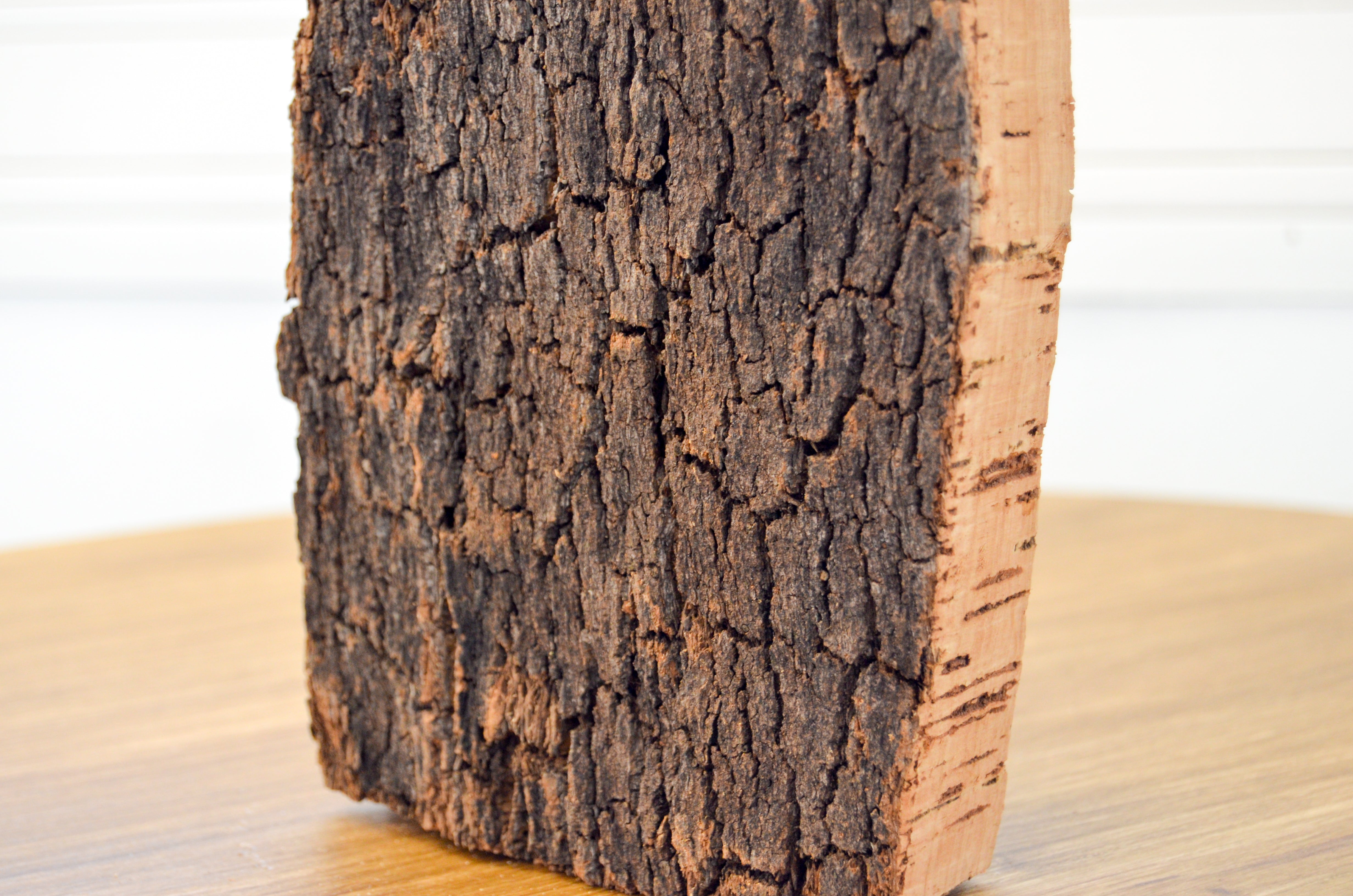 ¿Por qué el corcho es el material del futuro en el mobiliario?