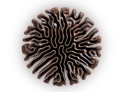 Anemone Table
